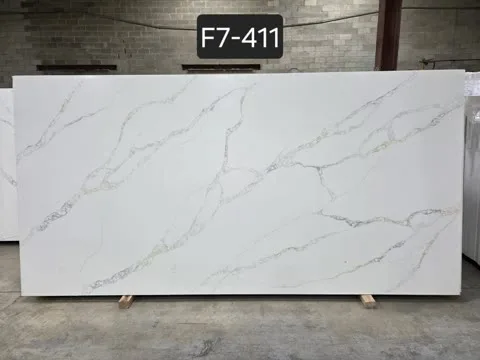 F7-411 F7-411